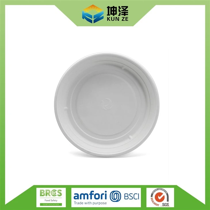 Bagasse Compostable Basin