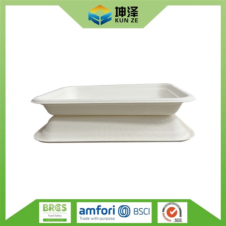 Best Compostable Plates
