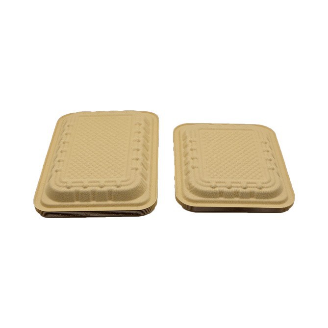 bamboo plates disposable02