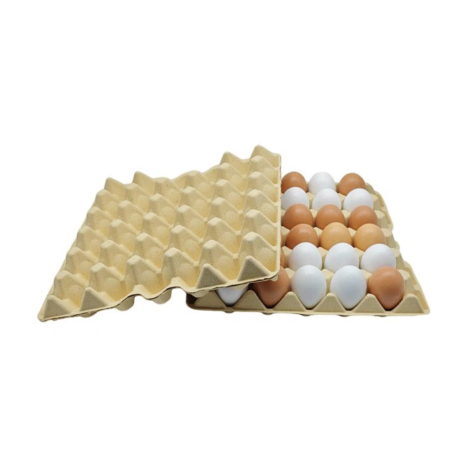Bamboo Pulp Egg Tray04