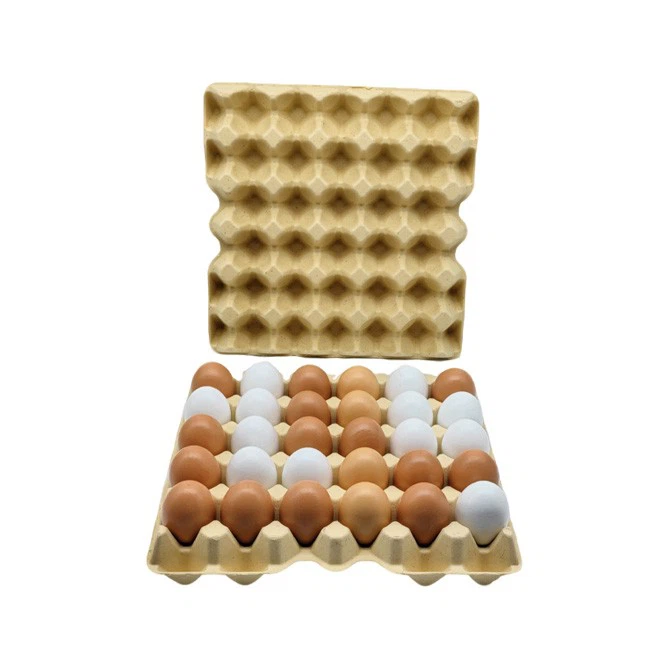 Bamboo Pulp Egg Tray02