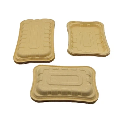 compostable-platesc7abc compostable-platesc7abc